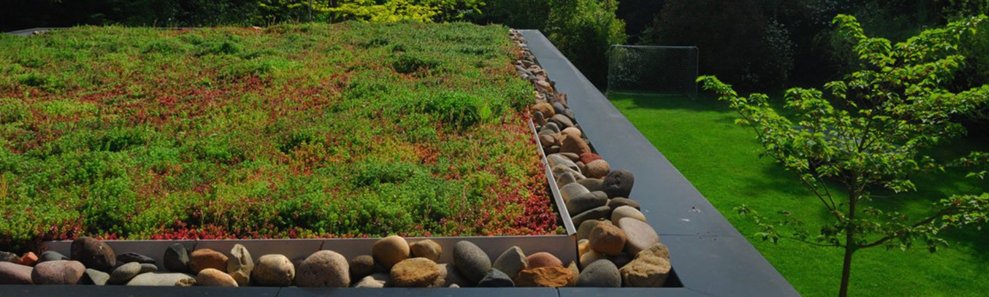 _0004_Garden Roofs - Webpage.jpg